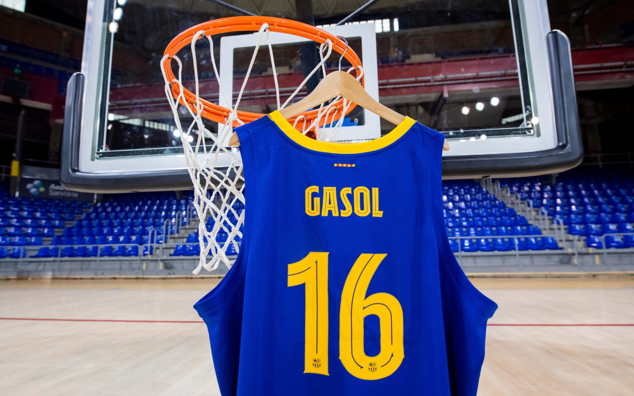 Pau Gasol FC Barcelona